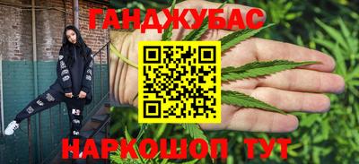 тгк Камышлов