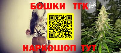 тгк Камышлов