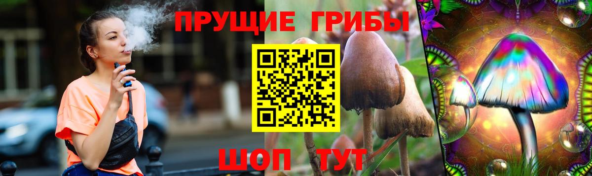 Псилоцибиновые грибы Magic Shrooms Краснокаменск